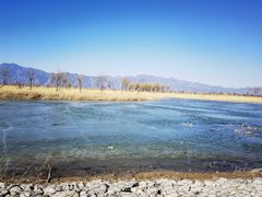 -野鸭湖国家湿地公园