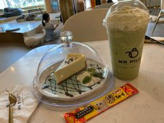 -飞行喵MR PILOT|猫舍·猫咖(静安大融城店)