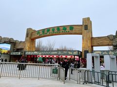 -北京野生动物园