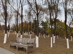 -长春世界雕塑园冰雪艺术天地