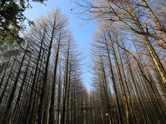 -山王坪喀斯特国家生态公园