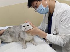 -美联众合动物医院·24h转诊中心