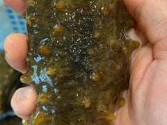 -木柴豆腐·活海鲜·鲁菜
