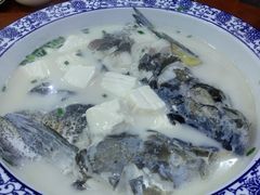 -全乐鱼馆·淳牌有机鱼直营店