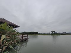 -三垟湿地