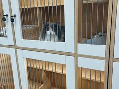 -爱洗澡的猫(天河路店)
