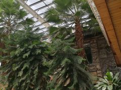 -龙达温泉生态城
