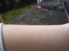 -夏威夷火山国家公园