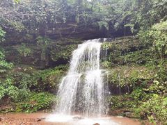 -老字号怡玺·藿香雅鱼(20年雅安店)