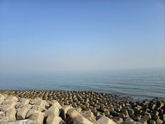 -东堤公园
