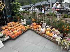 -京北渔家傲