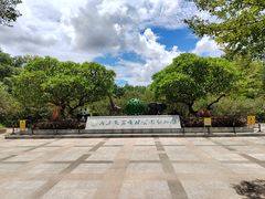 -广东茂名森林公园