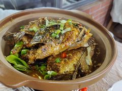 酱香鱼头-小杨酒家(华苑小区店)