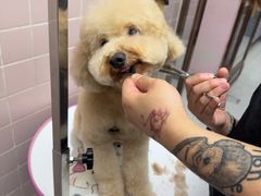 -FAELING PETS美天灵宠物(富力广场店)