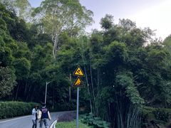 -火炉山森林公园