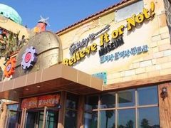 -信不信由你博物馆