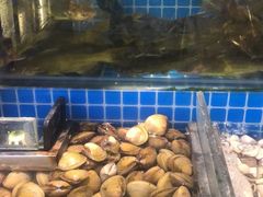 -鹿客臻鲜海鲜自助餐厅(永旺店)