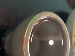 -俏巴妹烤鱼香锅(奥体店)