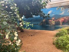 -上海鲜花港