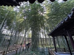 -焦山风景区