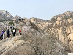 -北京凤凰岭