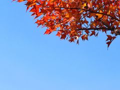 -白塘生态植物园