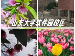 -山东大学(软件园校区)