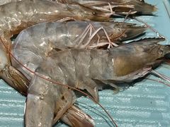 -和牛村烧肉放题(潍坊泰华店)