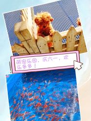 -萌宠亲子动物乐园(槐房万达店)