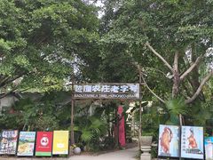 -芭厘农庄老字号·清远鸡