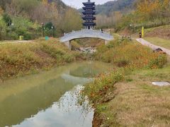 -千年银杏谷文化旅游区