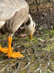 -红砖美术馆-红砖院子·宴会厅