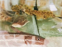 -李妹海鲜大排档(星海湾花园小区店)