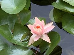-三里河公园