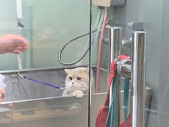 -PETKIT小佩宠物(昭化店)