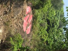 -宁波五龙潭景区