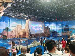 -华夏文旅海洋公园