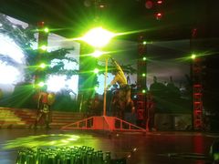 -斯卡拉演艺集团