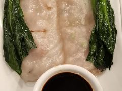 -金龙寨(龙城路店)