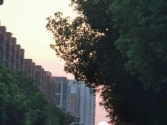 -金良酸菜鱼(宁海路总店)