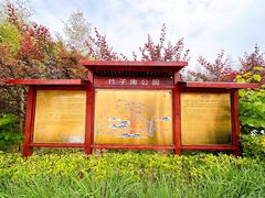 -竹子庵公园