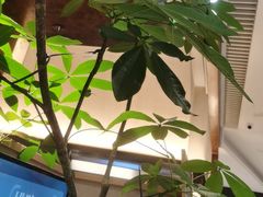 -新太二·鲜料川菜(晶耀前滩店)