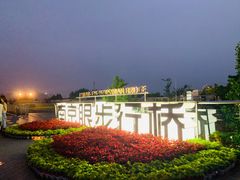 -南京眼步行桥