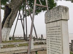 -观潮胜地公园