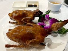 爆汁脆皮玻璃鸽-光明招待所(邦凯科技园店)