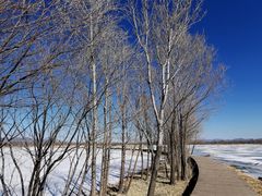 -野鸭湖国家湿地公园