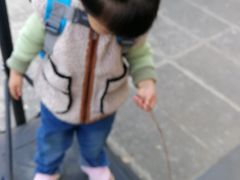 -小象托育