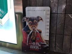 -武商摩尔影城(国广IMAX激光店)
