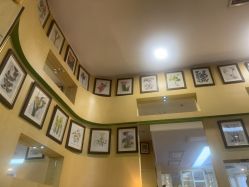 点击看大图 -艺米阳光Hair Salon