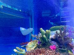 -成都浩海立方海洋公园